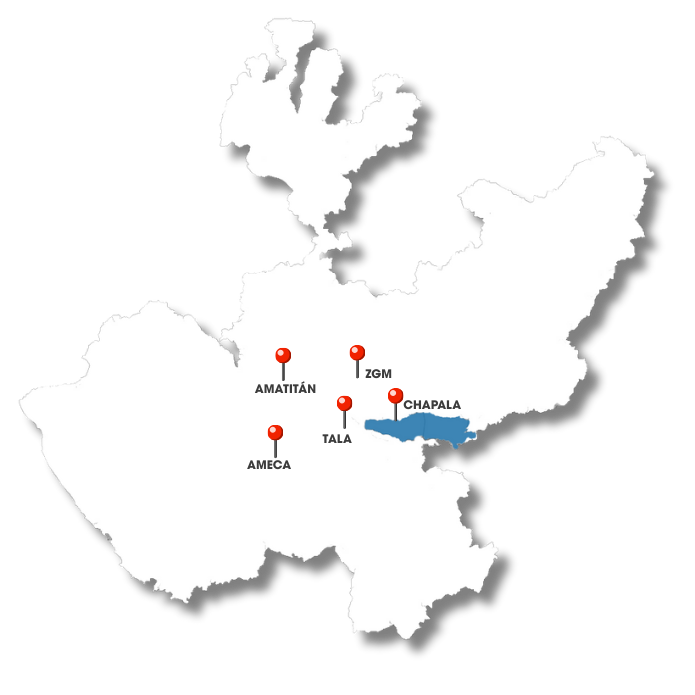 ZAPOPAN GUADALAJARA TLAQUEPAQUE TALA TEQUILA AMATITAN AMECA CHAPALA  (pregunta sin compromiso para v